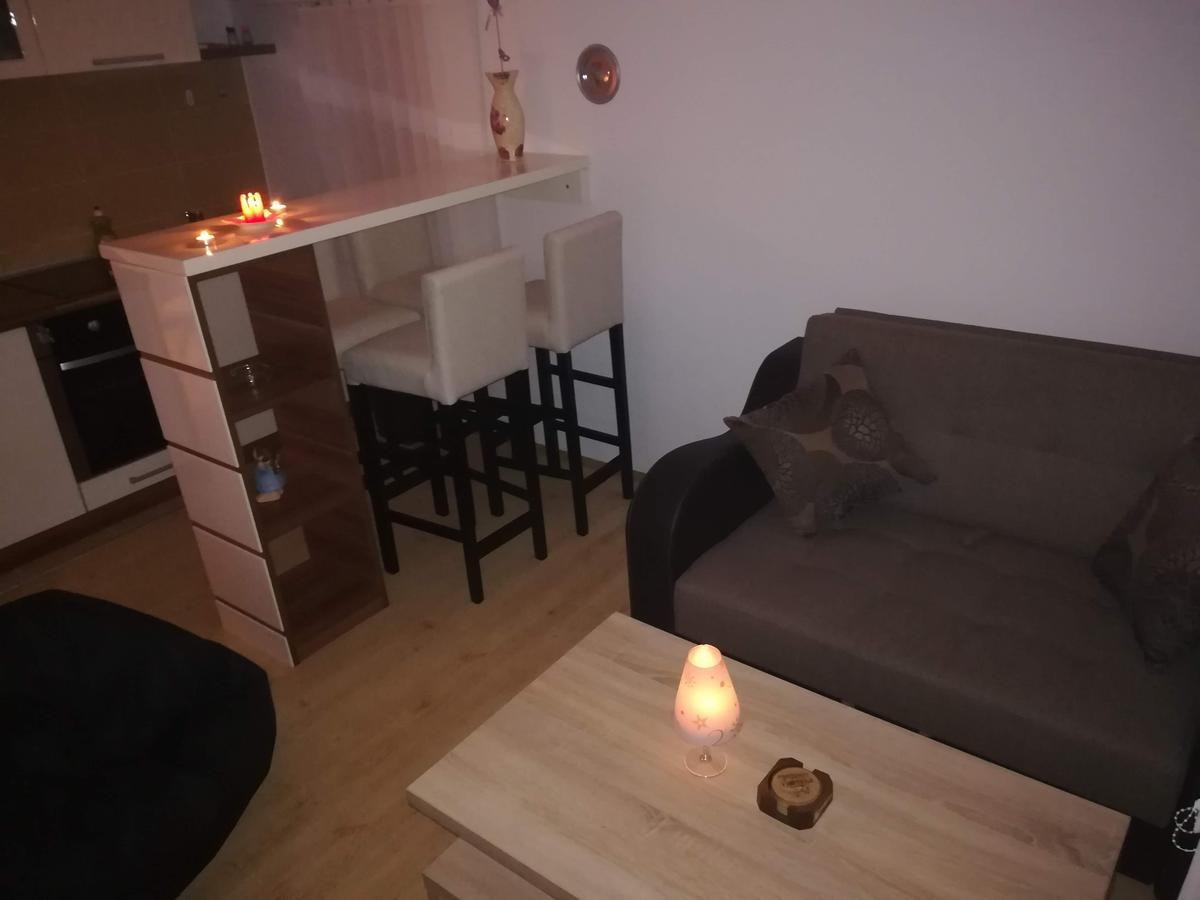 Apartman "Vienna" Soko Banja Exterior foto